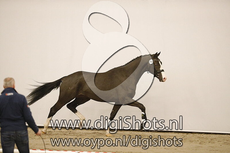 Mr Desperado CVT v. Desperado