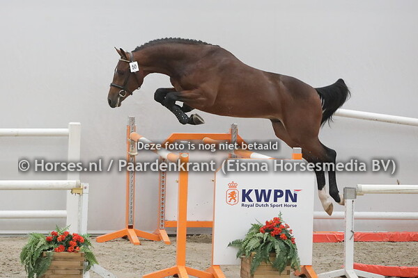 50 N'Oubliez (Comme Prevu x Heaven Angel v. Callahan VDL)