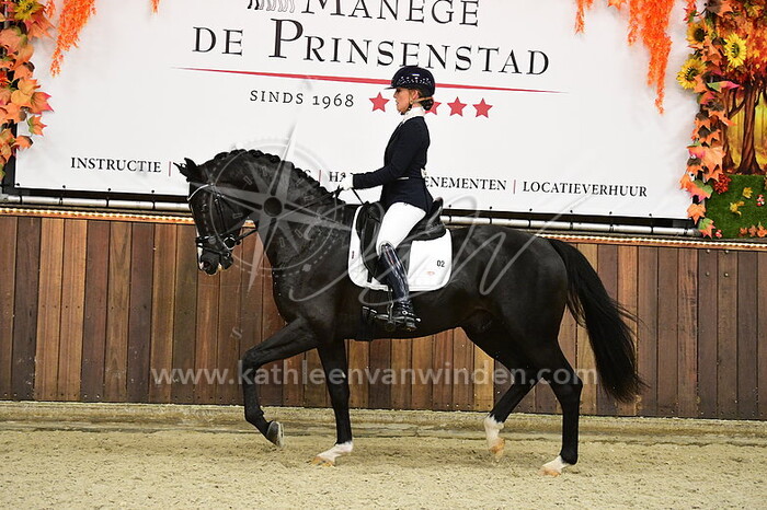 Kim Noordijk - Proud Picasso