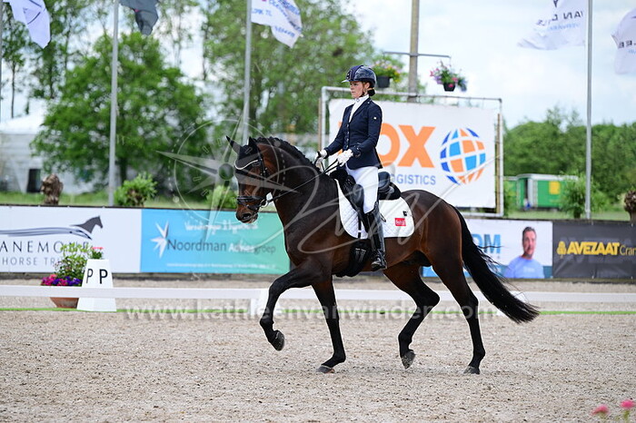 Ilse van Cranenbroek - ChemXpro Prestwick