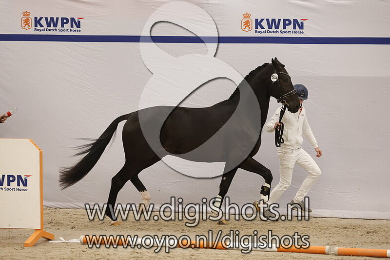 Scottdale VDP v. Taminiau