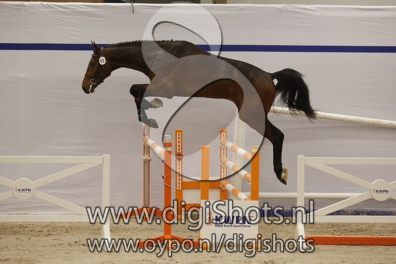 Sourkhan Especiale v. Dourkhan Hero Z