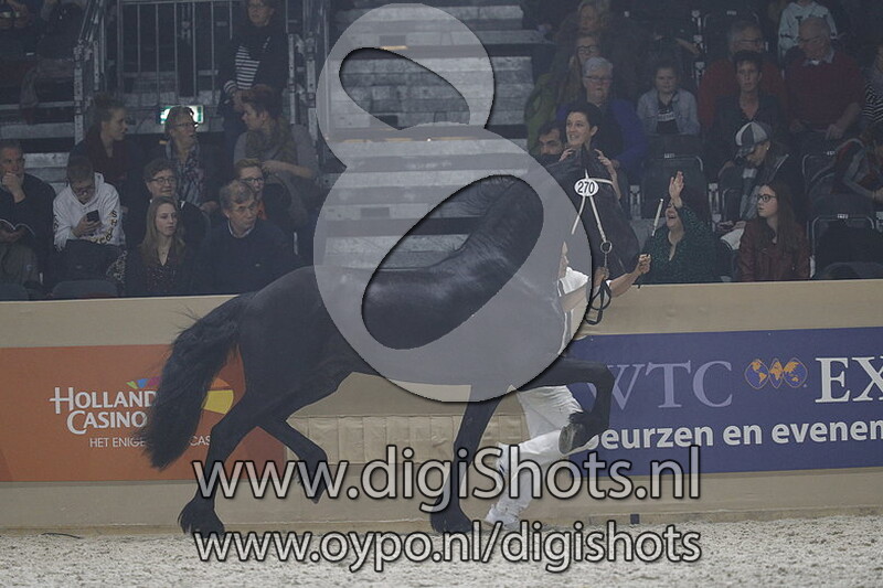 Brend Abe fan Galinga State