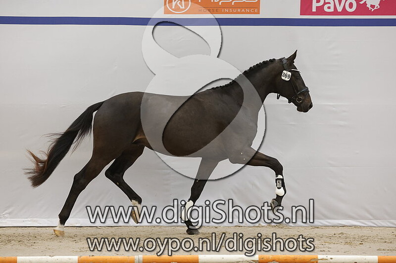 Reich Dior v. Furst Dior - 369