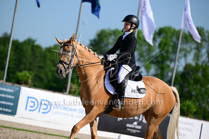 Veerle van den Boom - Salty