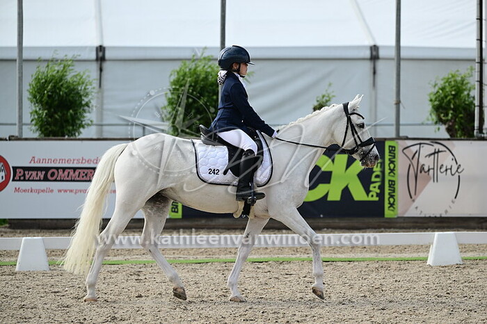 Naomi v.d. Heiden - White Star