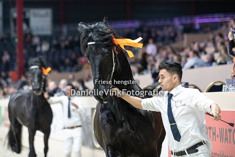 Hengstenkeuring 2023 Ulbe 506