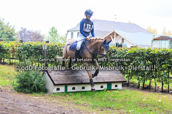 SGW Ysselsteyn pony B 05-10-25