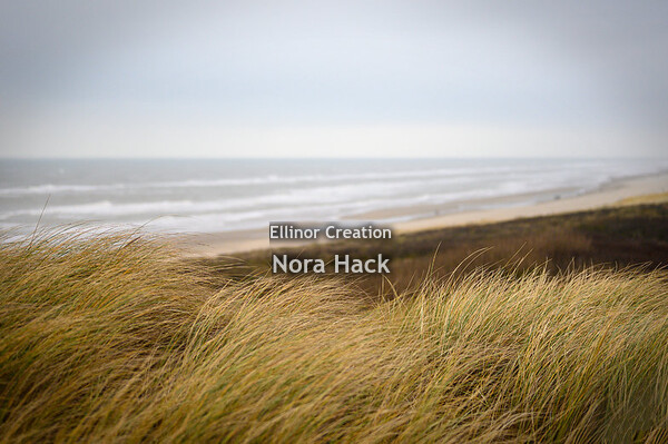 Zondag 12 januari 2020