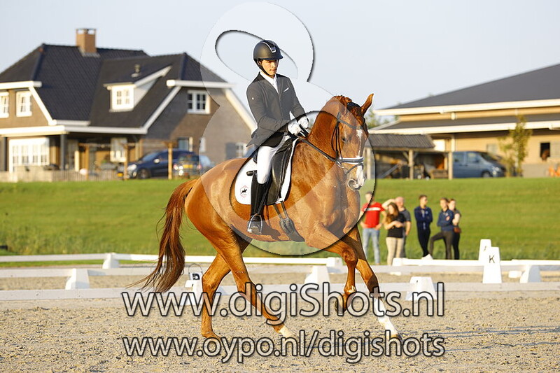 Hexagons Luxuriouzz vd Waalsehoeve