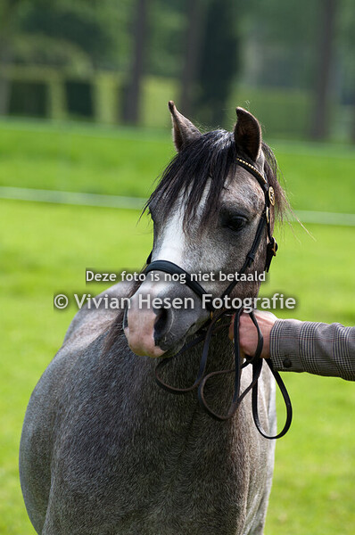 Internationale Show Diepensteyn