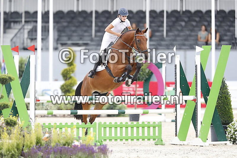 Gerdina van der Hout