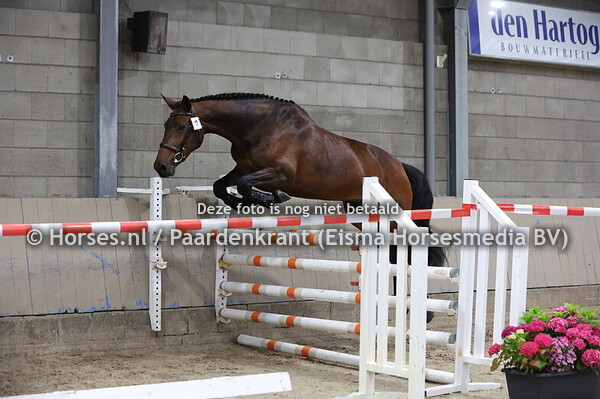 17 Micieni EK Douglas x Acieni v. Marlon)