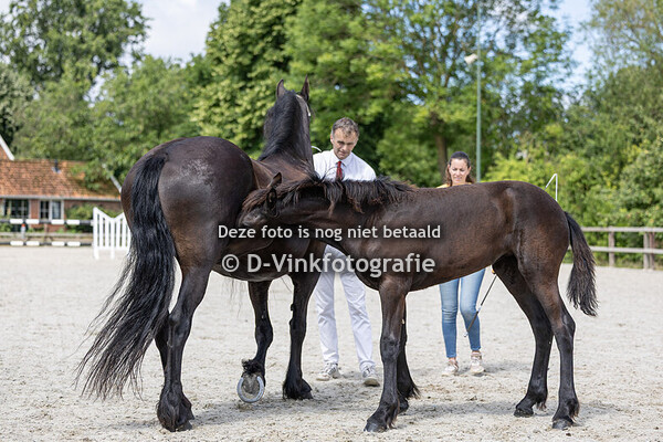 15. Fija fan D'Oever