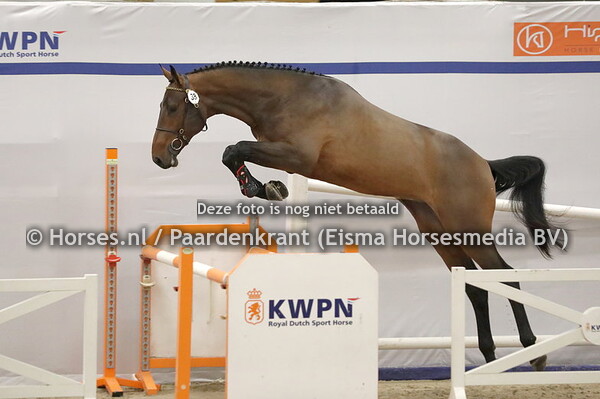 38 Rammstein (Comthago x My Queen v. Eldorado vd Zeshoek)