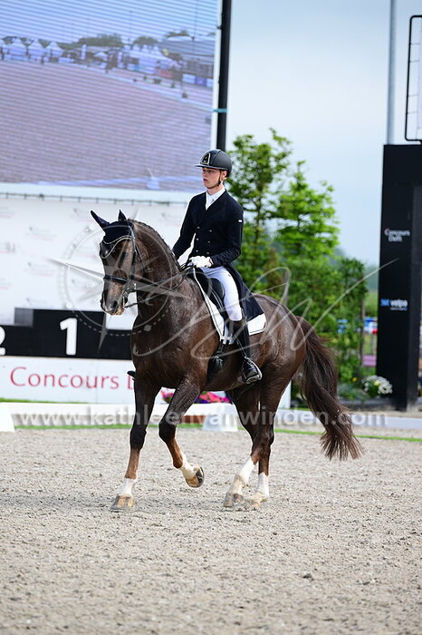Dinand Duijvestijn - Katchy Kody US
