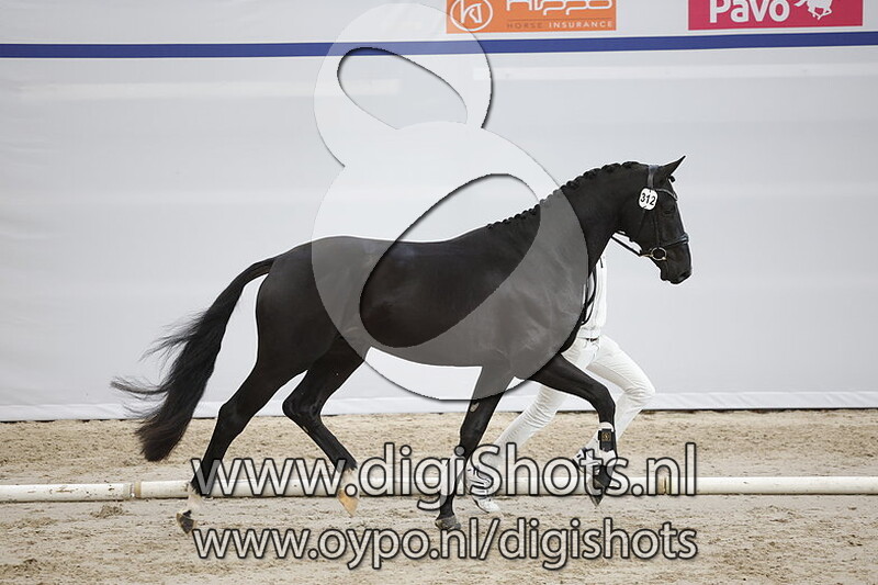 Purple Rain v. De Royal - 312