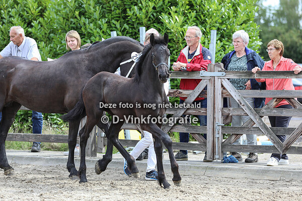 21. Yule v.d. Schuppestraat