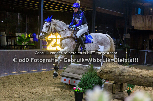 Indoor SGW cross paard-l 30-12-25