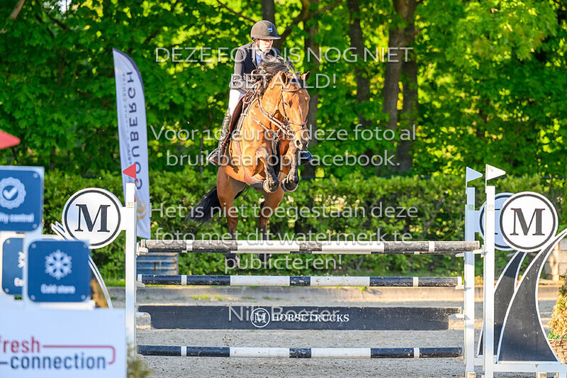 5 vrijdag  1.30m paarden