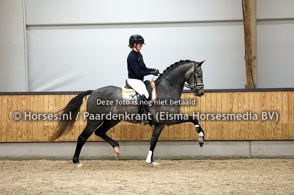 11-12-23 KWPN VO Najaar dressuur