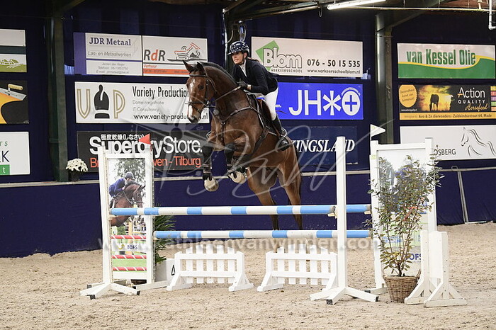 Winnie Kleintjes - Carel Gold