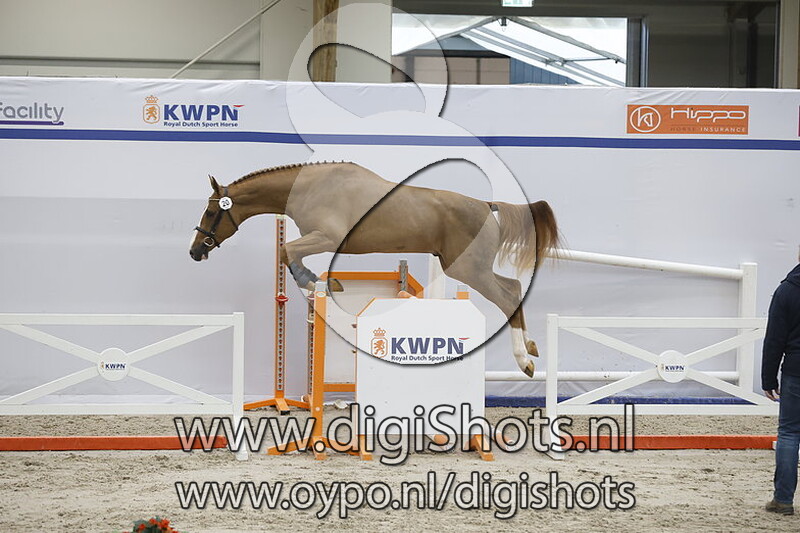 Vic K Van Kattenheye v. Carrera VDL - 020