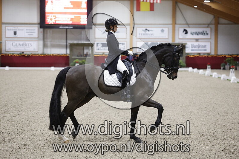 Sir Donnerhall II Old