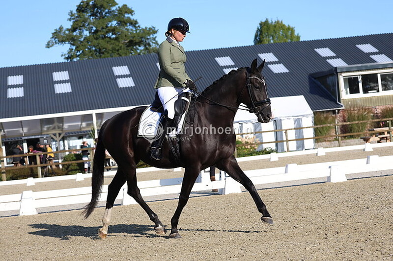 405_Z.STER_B&L_TOT12.00_14SEPT