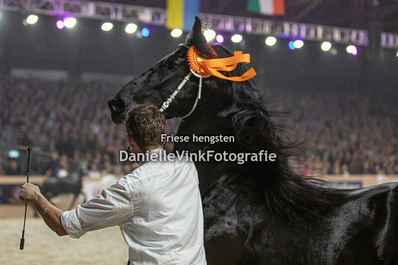 Hengstenkeuring 2023 Kees 531