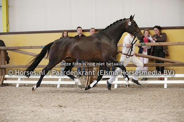 28 Maanita (Glock's Toto x Ibonita v. Don Tango)