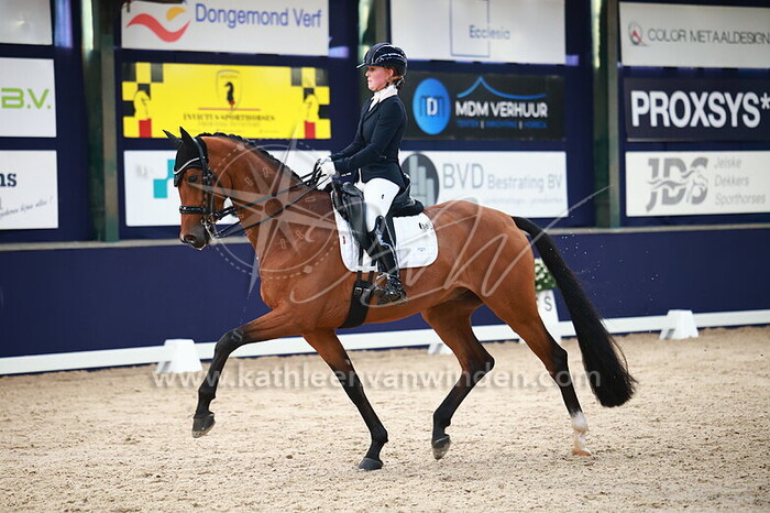 Kim Noordijk - Otis W