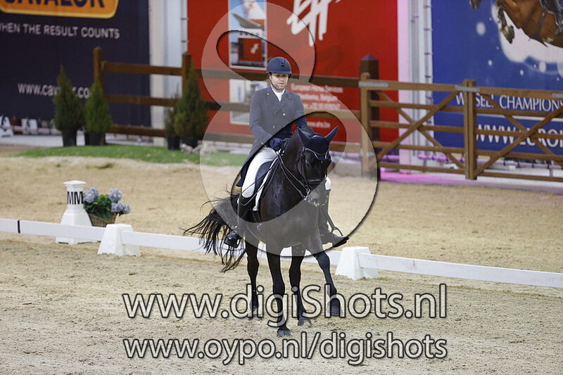 Kryptonite Van De Performing