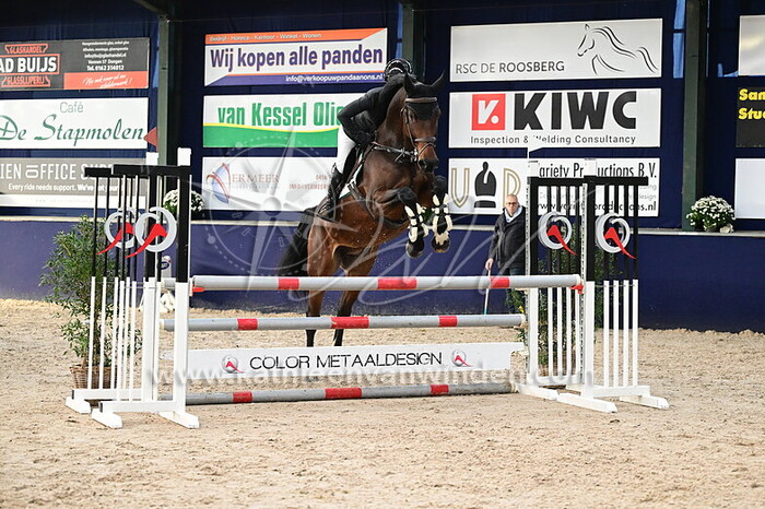 Annelies Boer - Colores Z