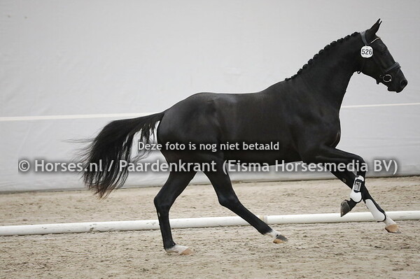 526 Ono (Painted Black x Fivanny v. Negro)