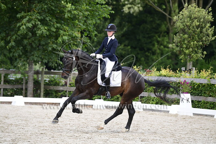 Eline Anker - Newsation STMT