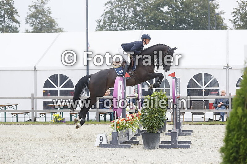 mareille van geel schroder