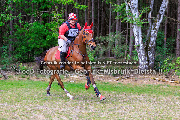 Grandorse Horsetrials Paard B intro 03-05-25