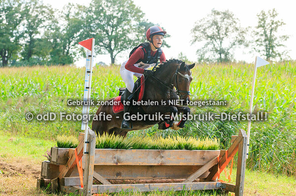 SGW Bollert Gelselaar Pony B 07-09-24