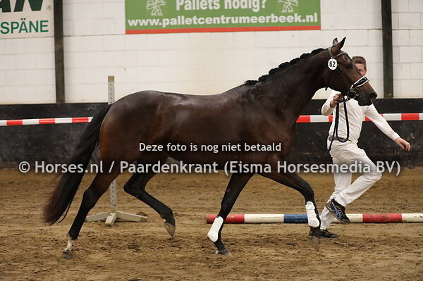 62 Minerva Dodona v Danone