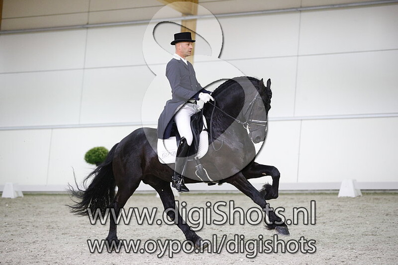 Stal Okkema's Gerke J