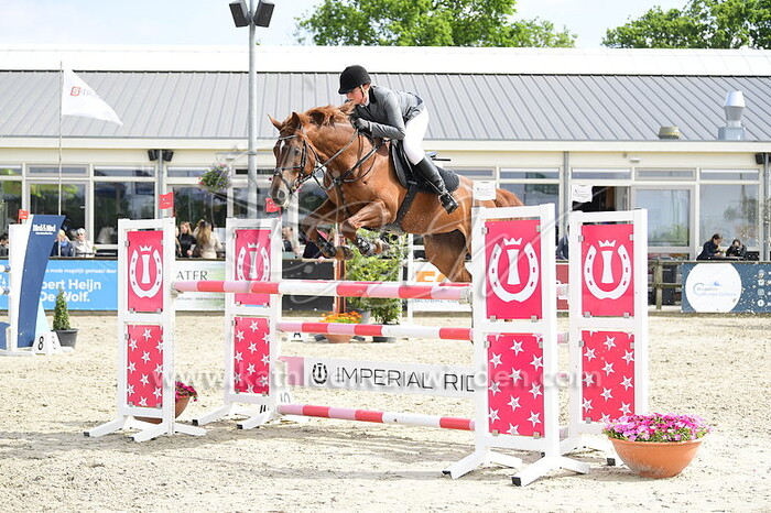 Wendy Willemse - Jolly Joy