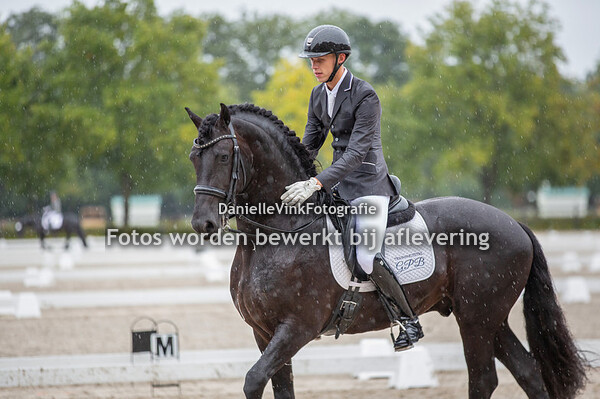 Gosse Pieter Hellinga - Jeldrik fan 'e Hameren