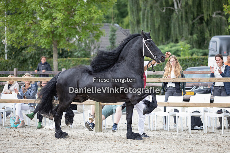 Friese fokdag Schijndel 2021 - Alwin 469