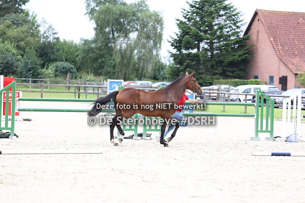 11. Vrouwelijke tweejarigen springen