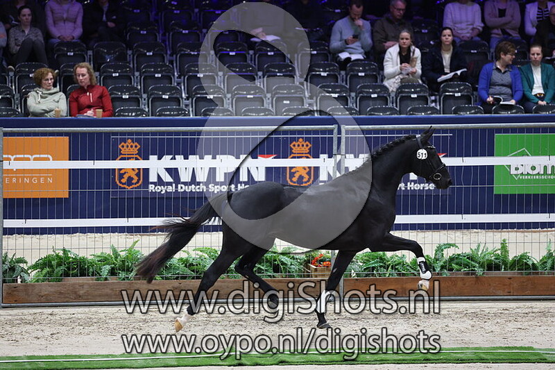 Shemari I.K. v. Total McLaren