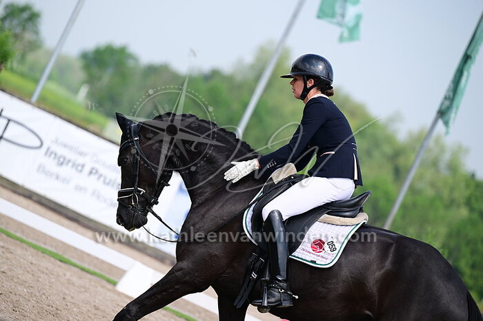 Annemiek van Venrooij - Neil Diamond