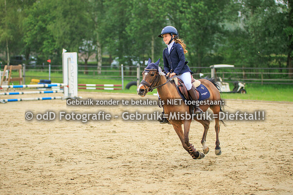 CH Manege Sintels Pony 60 ab 19-05-24