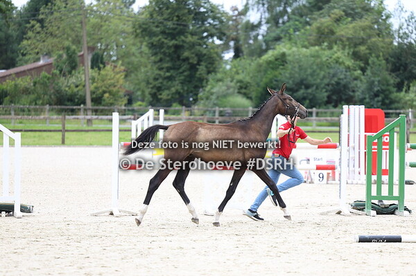 10. Mannelijke jaarlingen springen