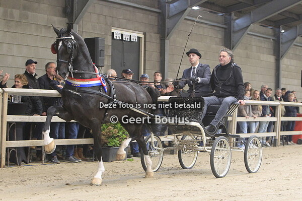 Houten indoor 2024